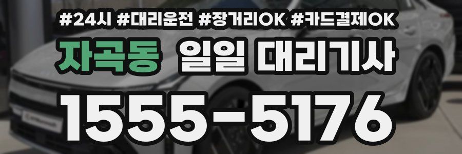 자곡동 일일 대리기사