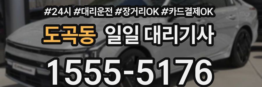 도곡동 일일 대리기사