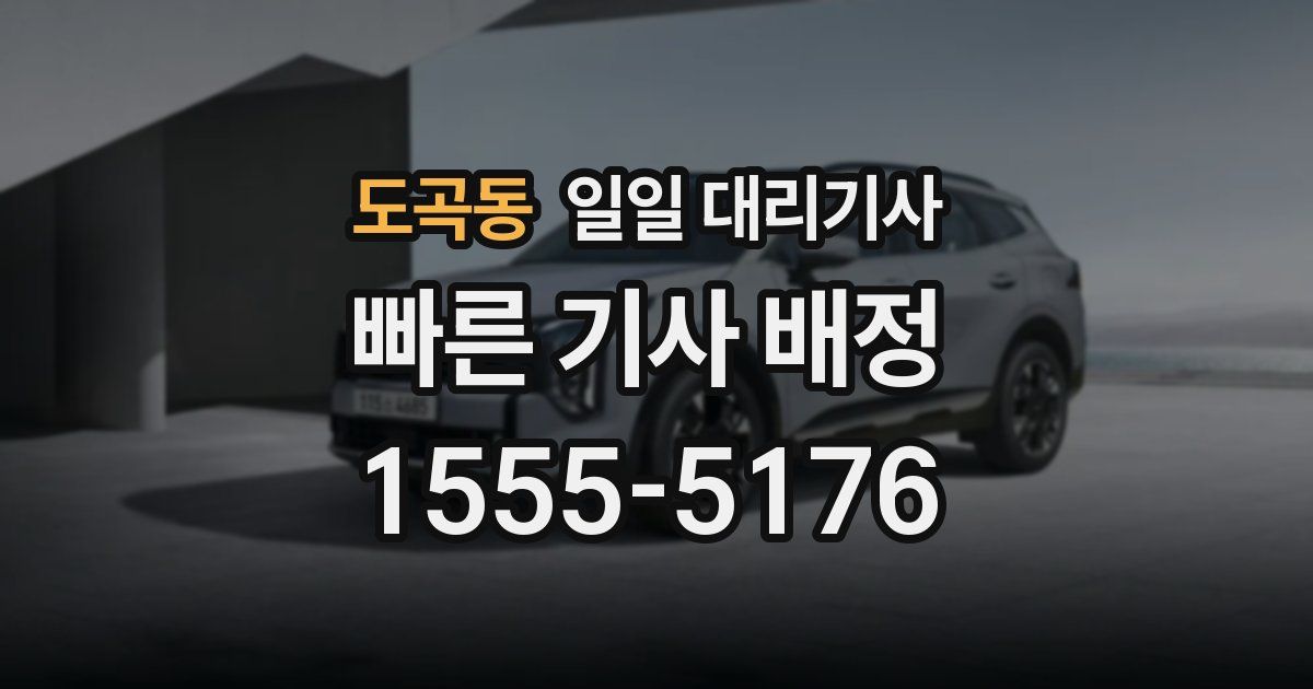 도곡동 일일 대리기사