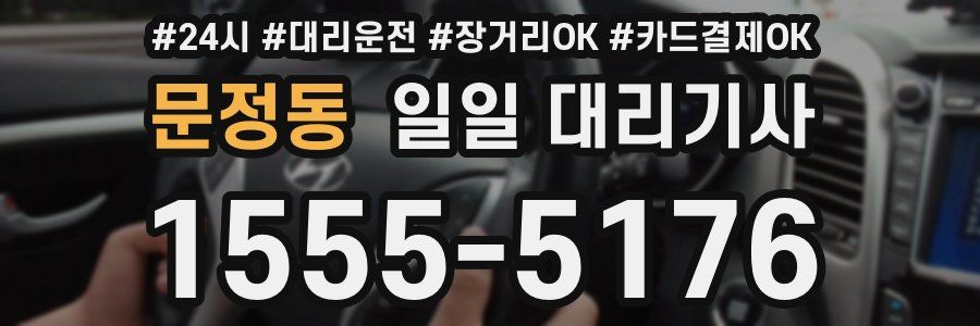문정동 일일 대리기사