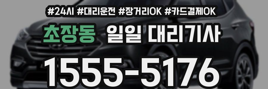 초장동 일일 대리기사