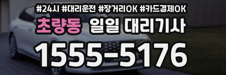 초량동 일일 대리기사