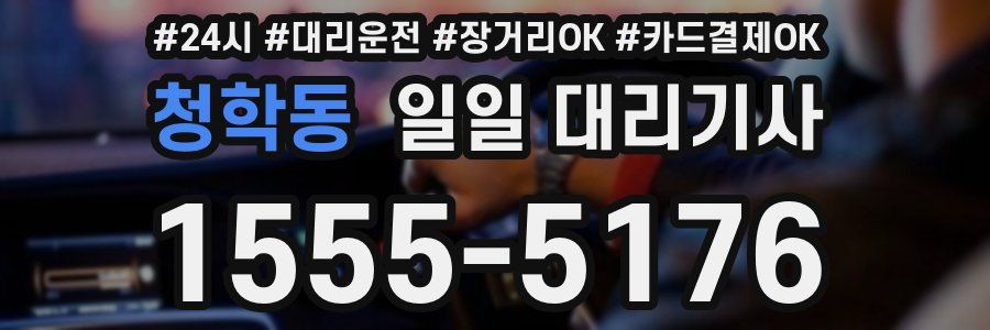 청학동 일일 대리기사