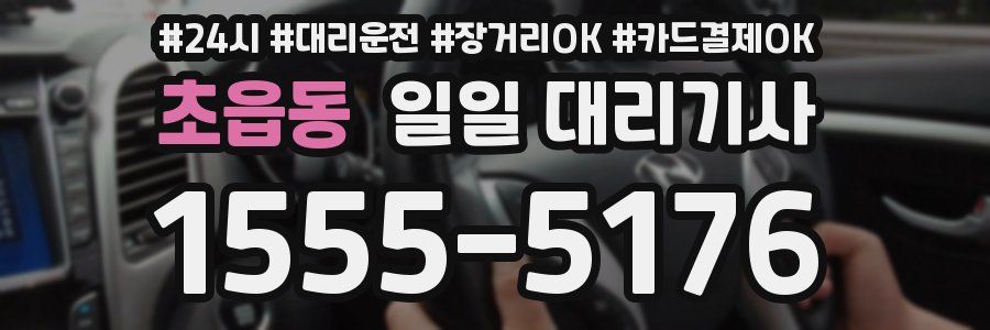 초읍동 일일 대리기사