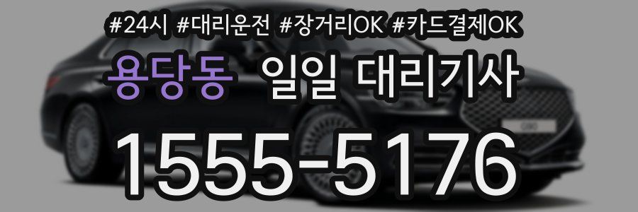 용당동 일일 대리기사