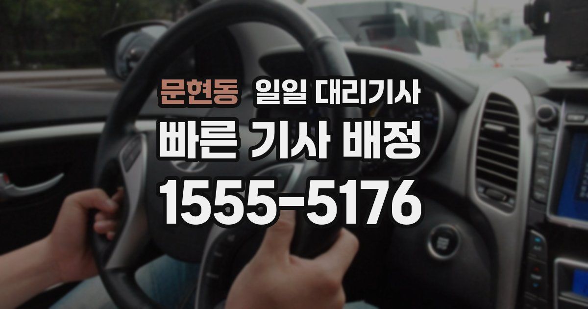 문현동 일일 대리기사