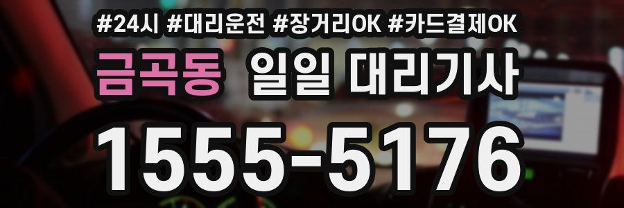 금곡동 일일 대리기사