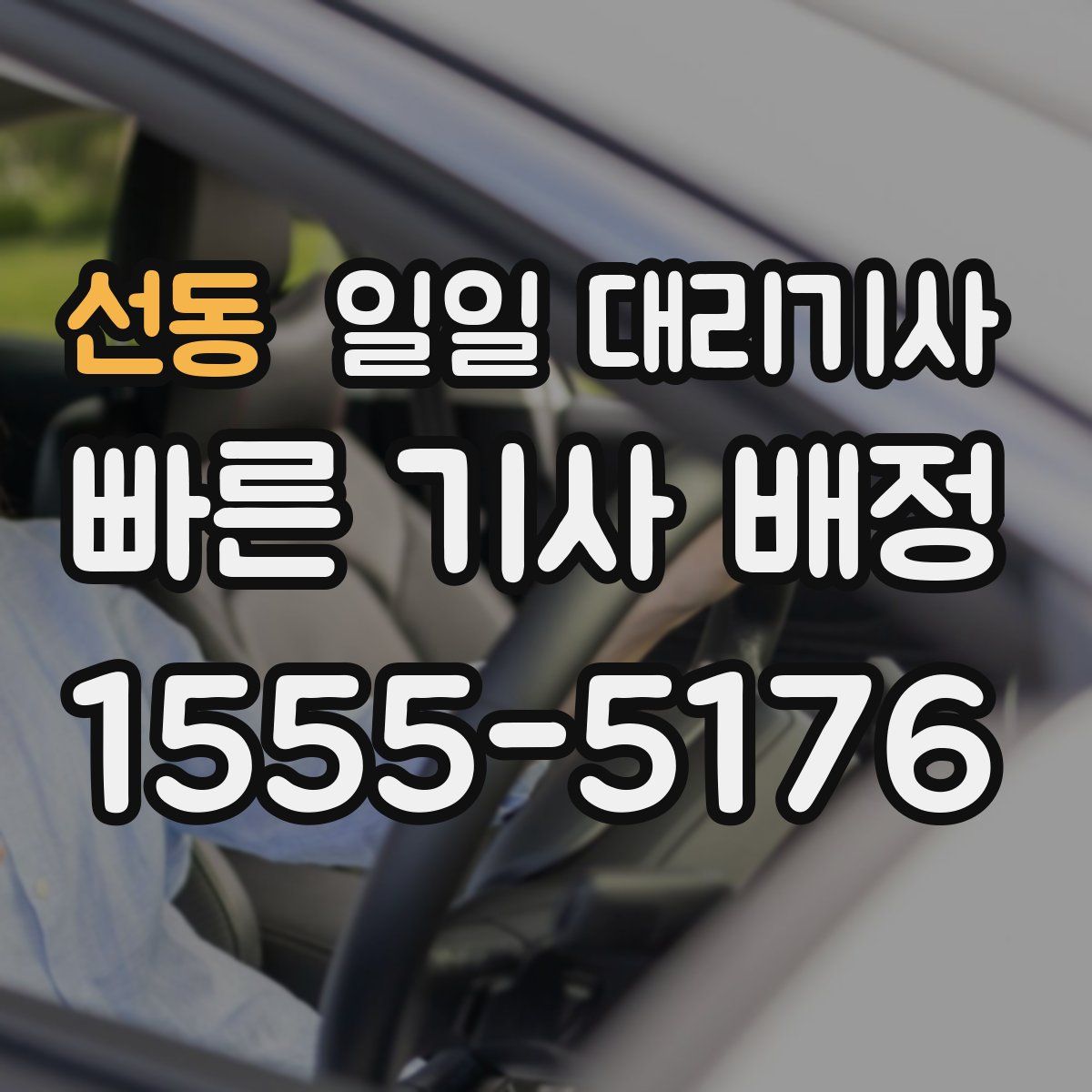 선동 일일 대리기사