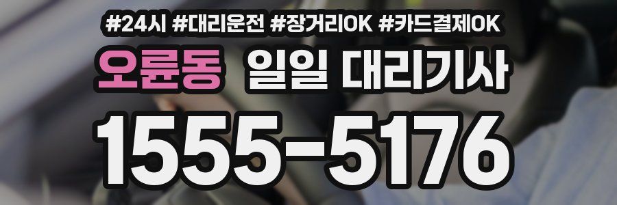 오륜동 일일 대리기사