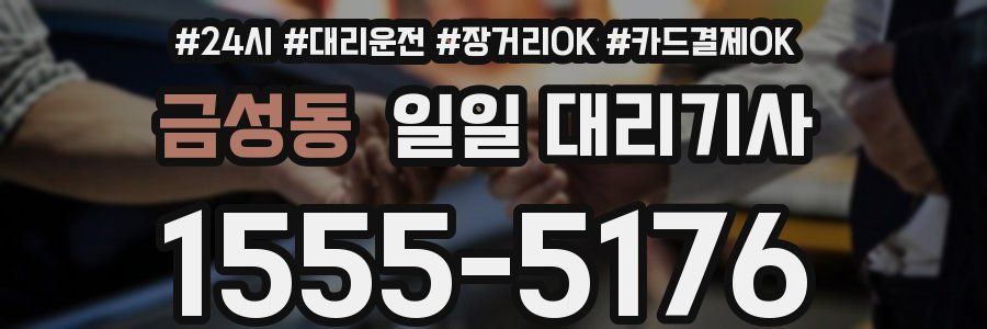 금성동 일일 대리기사