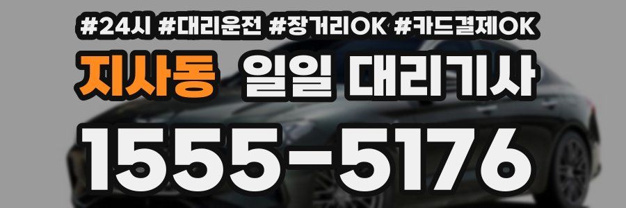 지사동 일일 대리기사