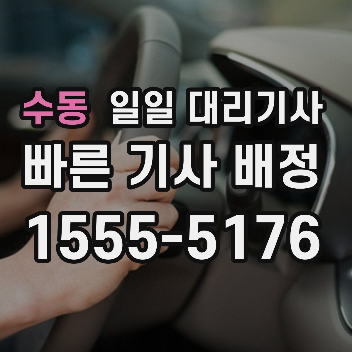 수동 일일 대리기사