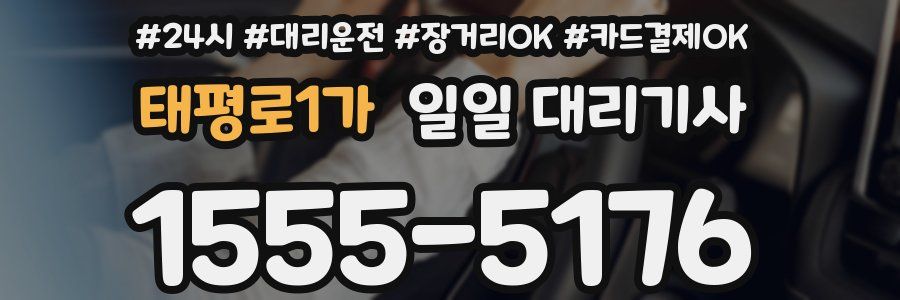 태평로1가 일일 대리기사