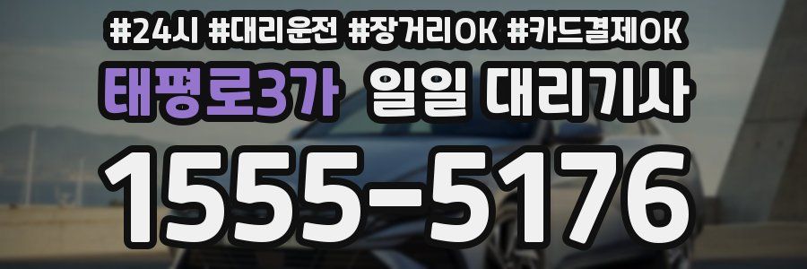 태평로3가 일일 대리기사