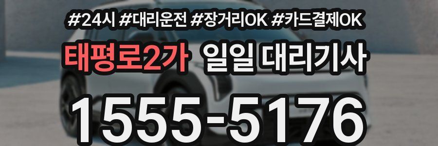 태평로2가 일일 대리기사