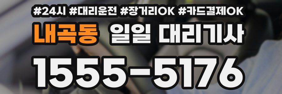 내곡동 일일 대리기사