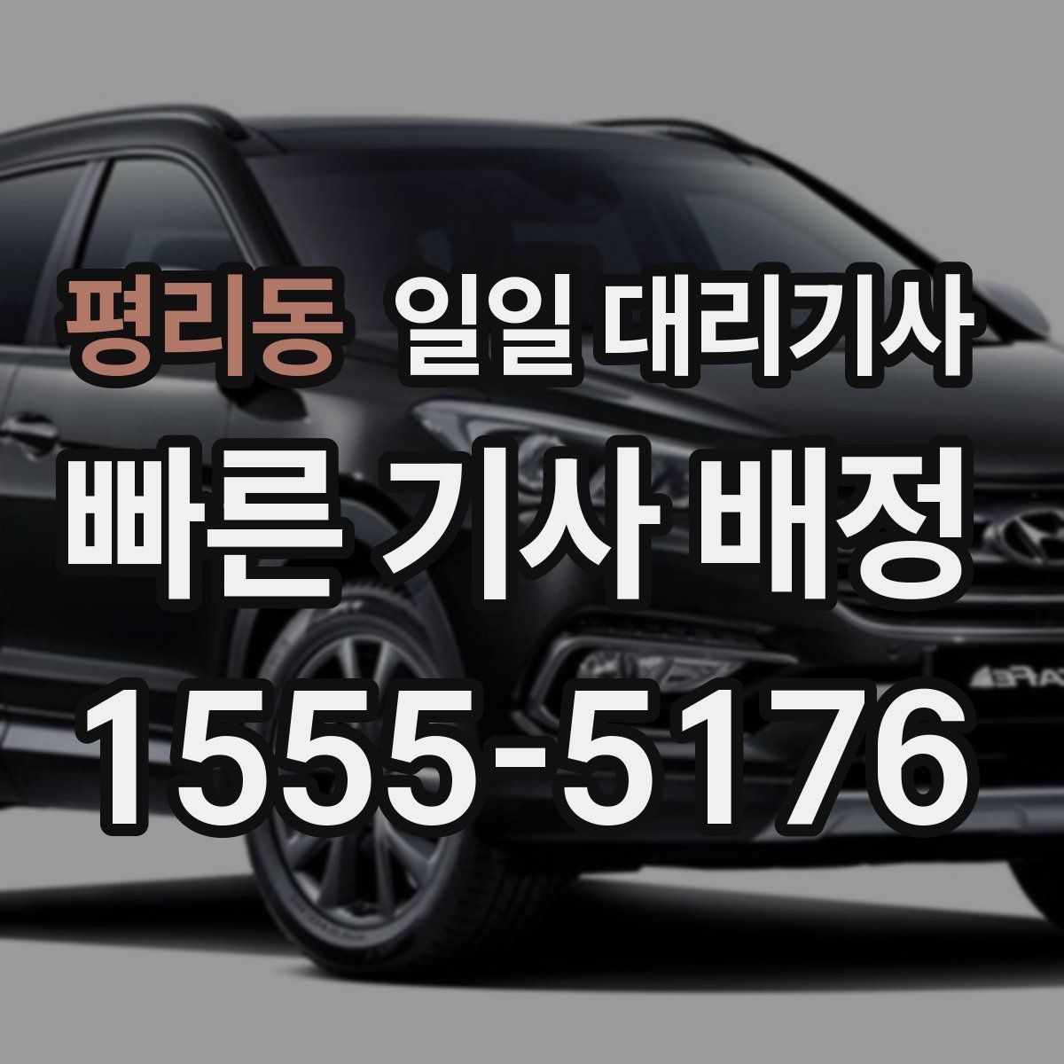 평리동 일일 대리기사