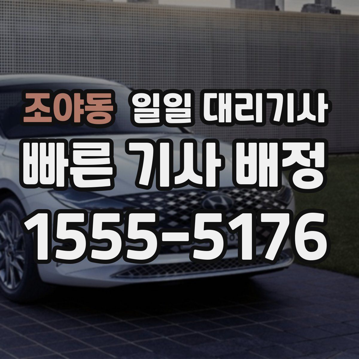 조야동 일일 대리기사
