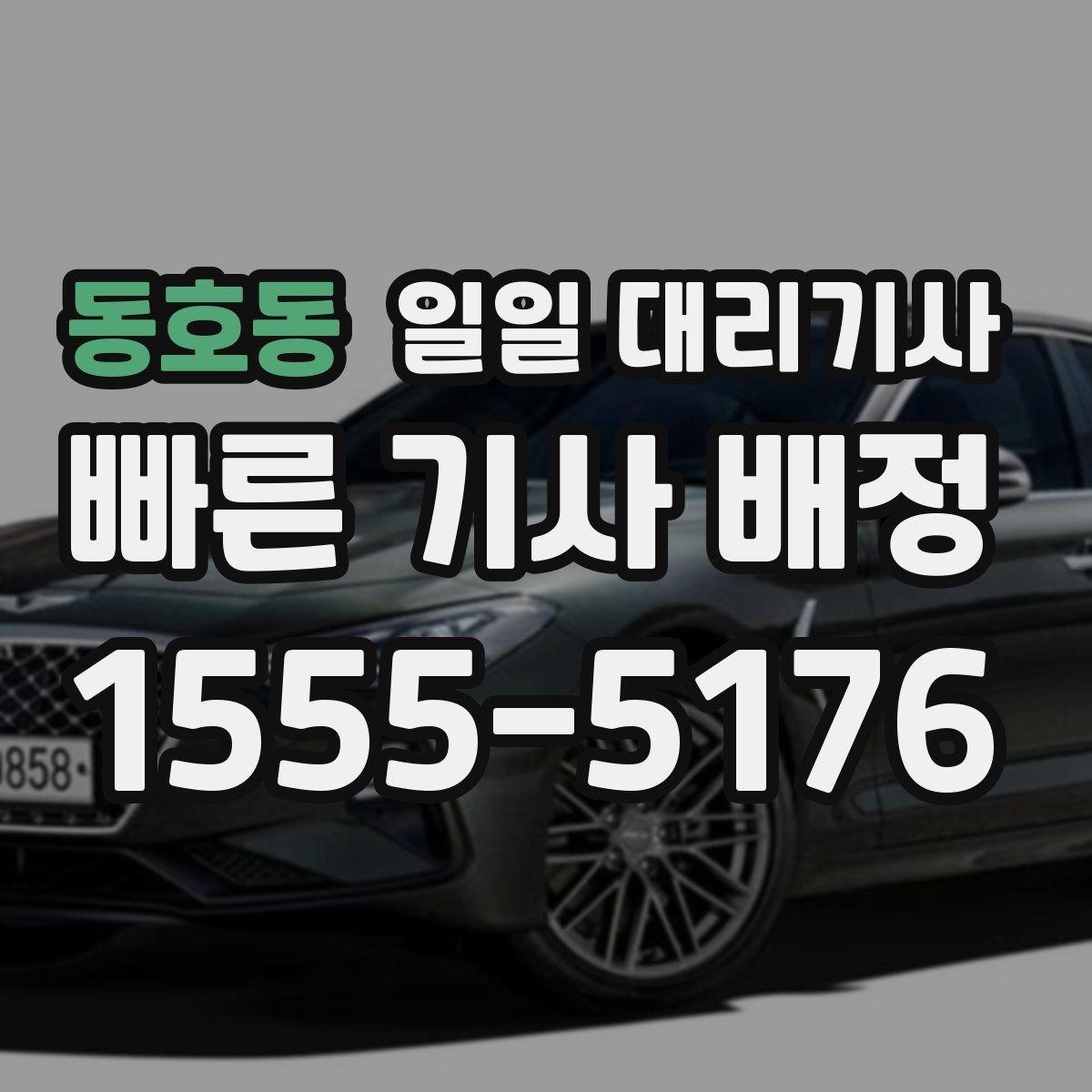 동호동 일일 대리기사
