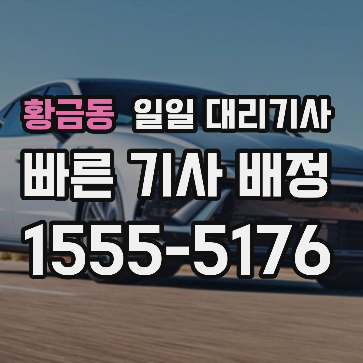 황금동 일일 대리기사