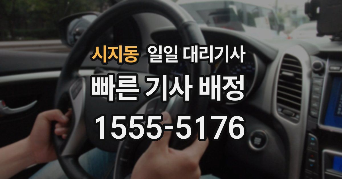 시지동 일일 대리기사