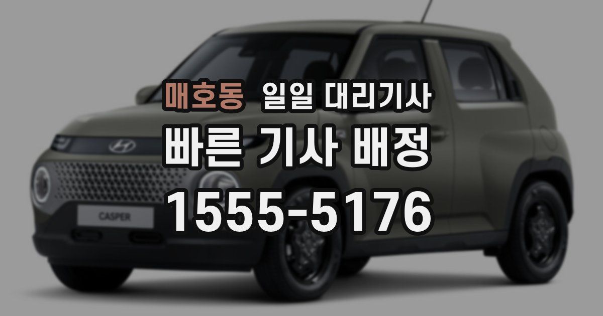 매호동 일일 대리기사