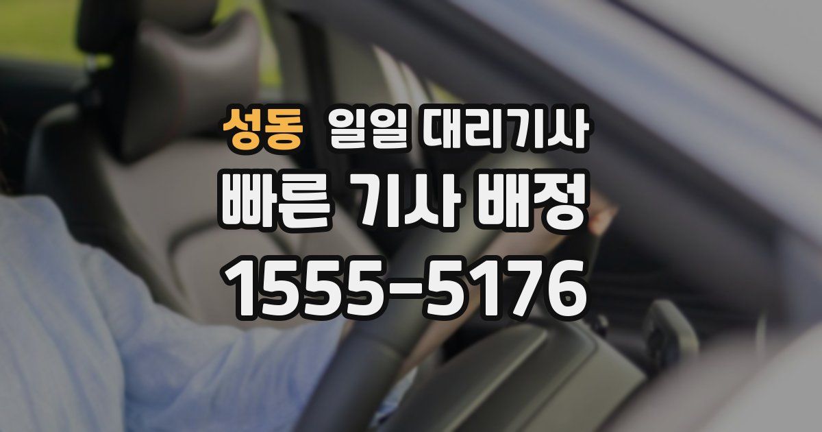 성동 일일 대리기사