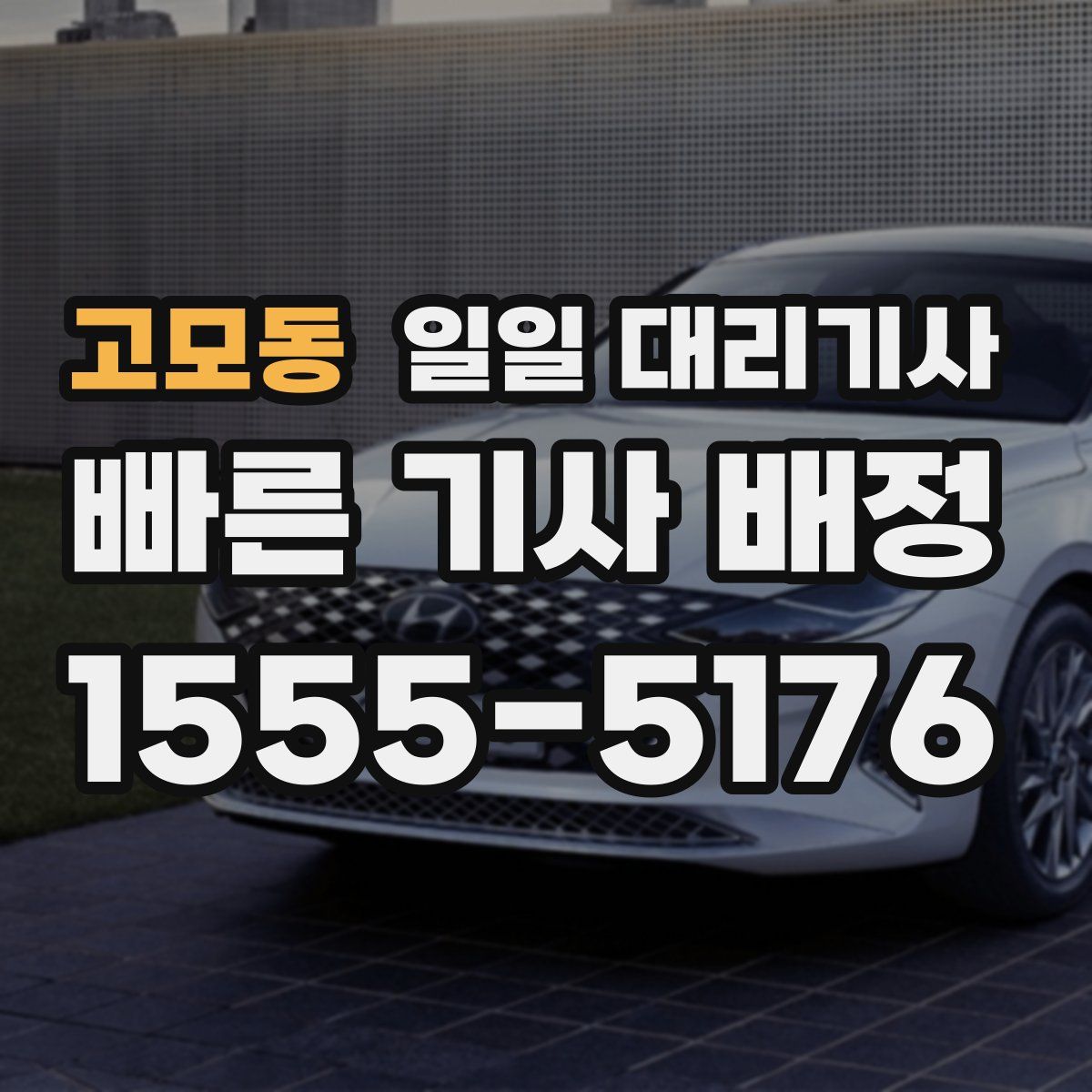 고모동 일일 대리기사