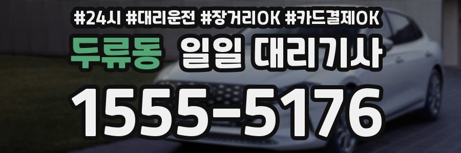 두류동 일일 대리기사