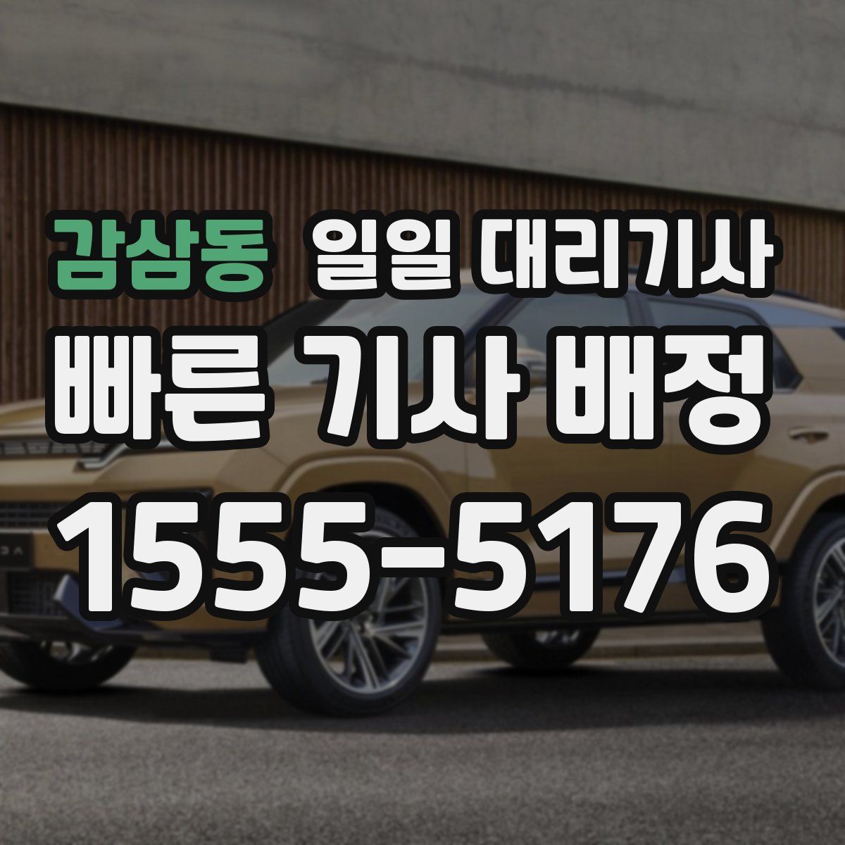 감삼동 일일 대리기사
