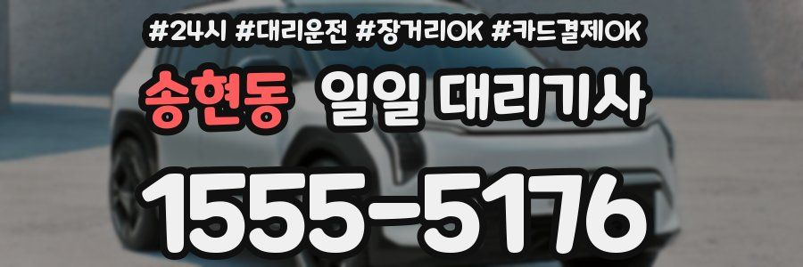 송현동 일일 대리기사