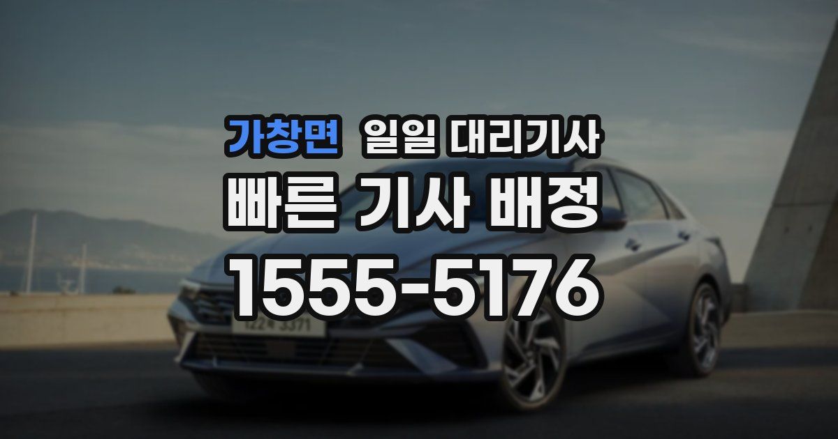 가창면 일일 대리기사