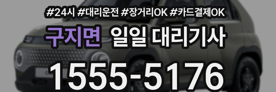 구지면 일일 대리기사