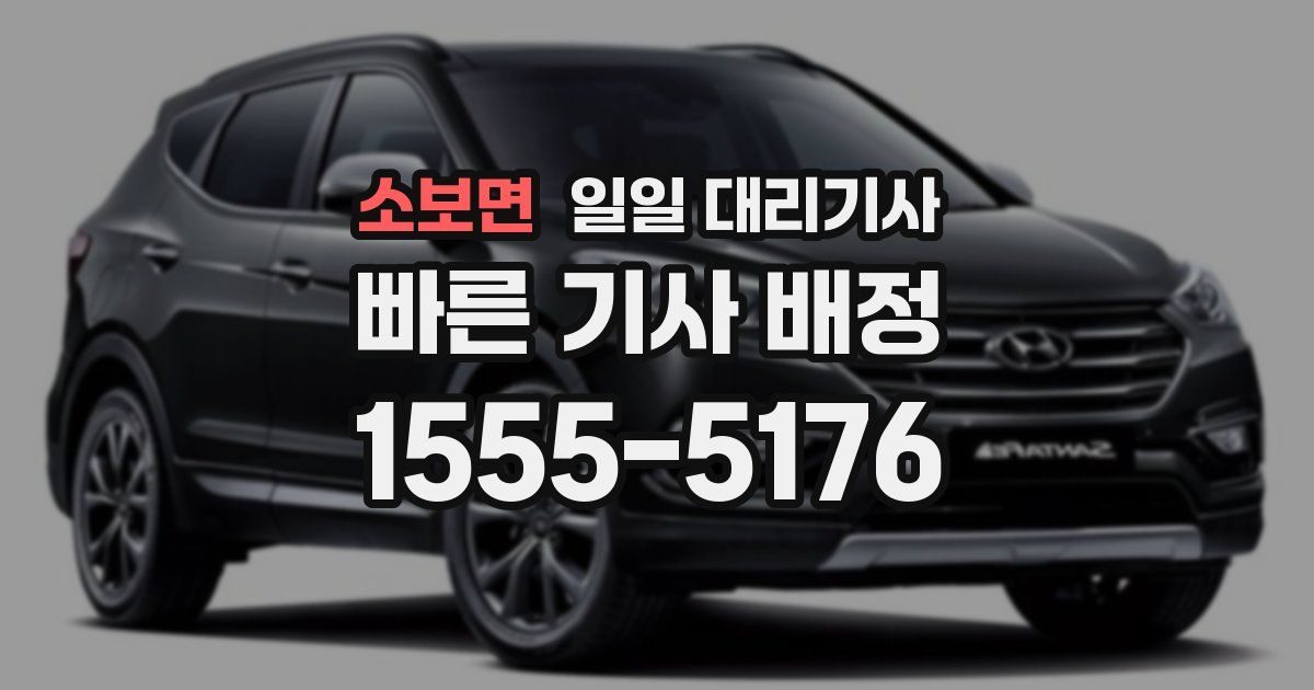 소보면 일일 대리기사