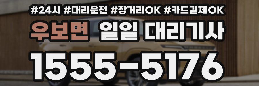 우보면 일일 대리기사