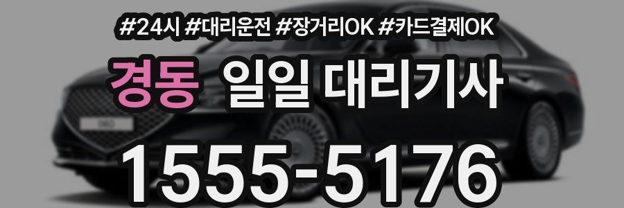 경동 일일 대리기사