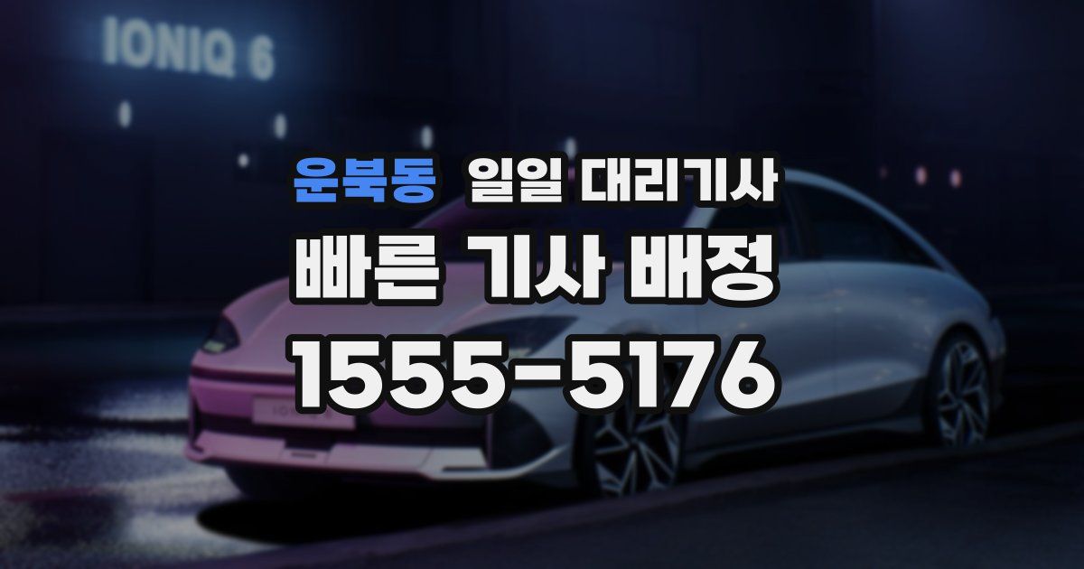 운북동 일일 대리기사