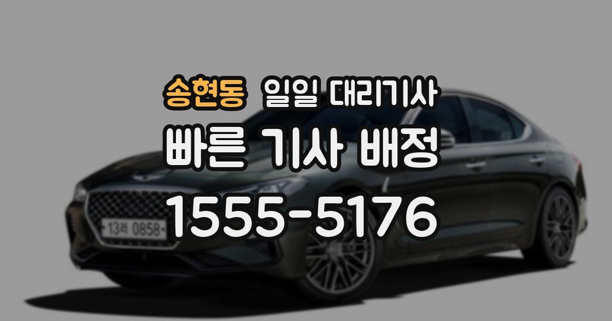 송현동 일일 대리기사