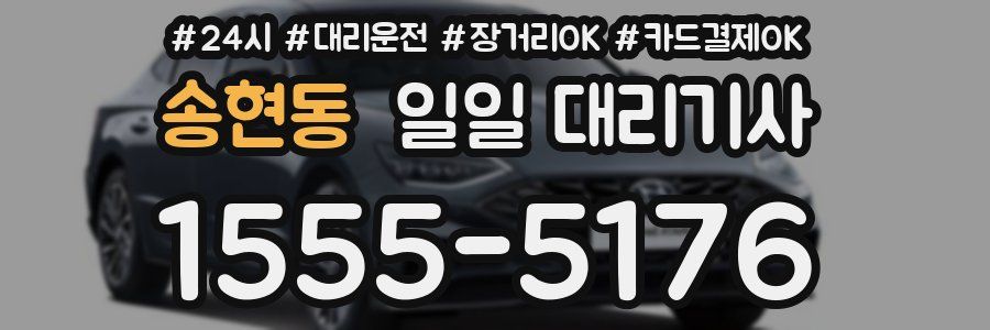 송현동 일일 대리기사