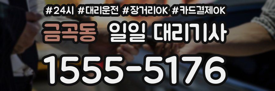 금곡동 일일 대리기사