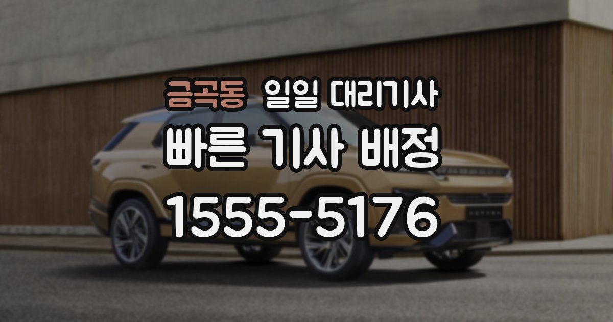 금곡동 일일 대리기사