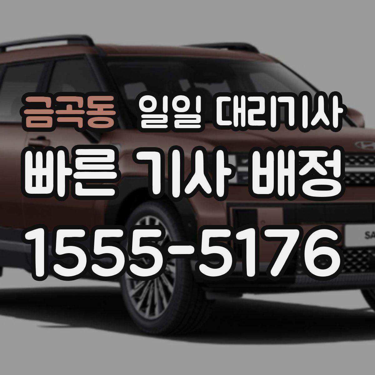 금곡동 일일 대리기사