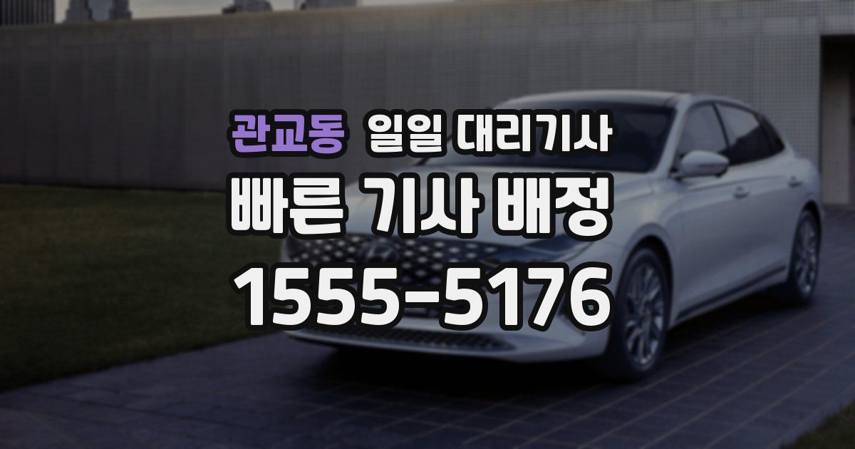 관교동 일일 대리기사