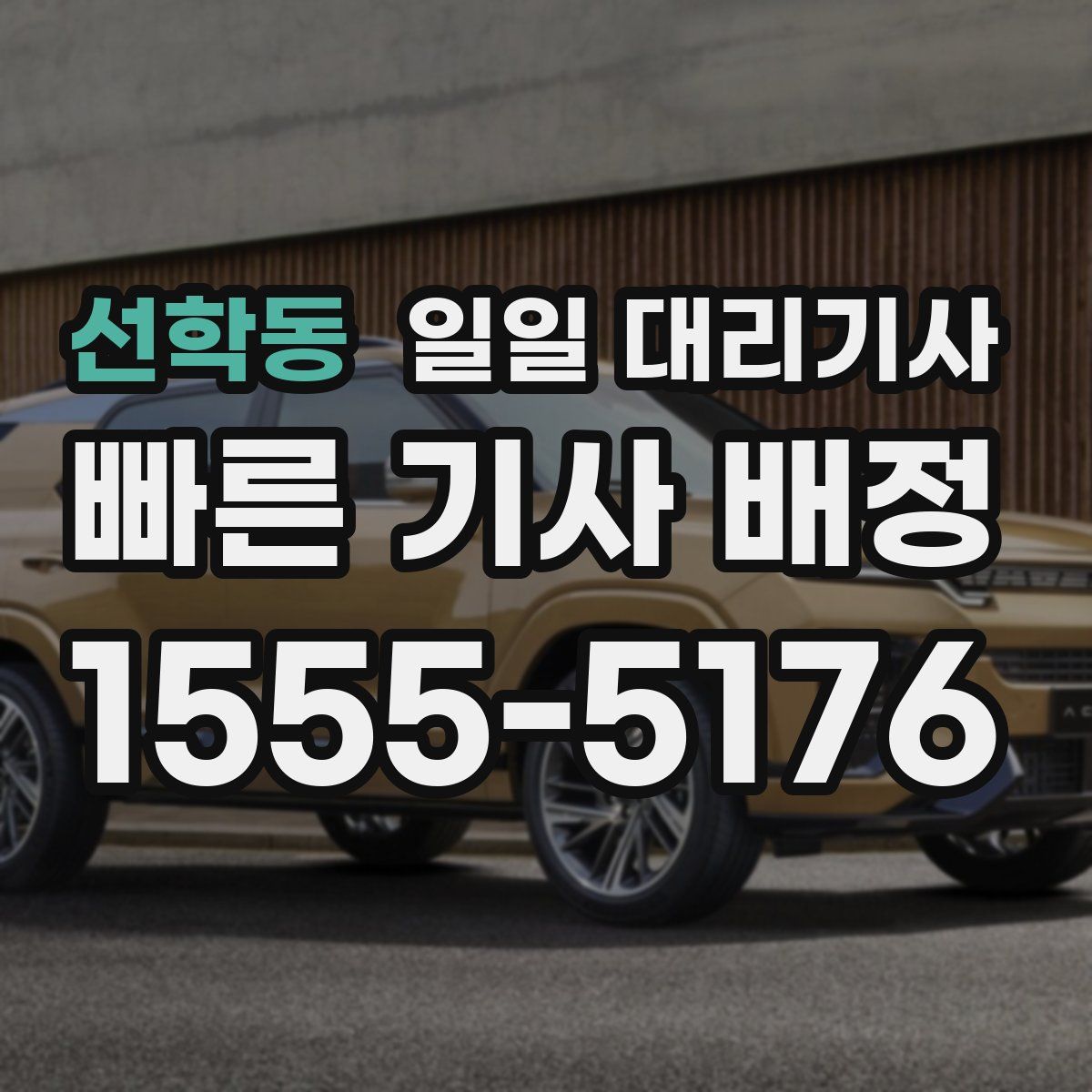 선학동 일일 대리기사