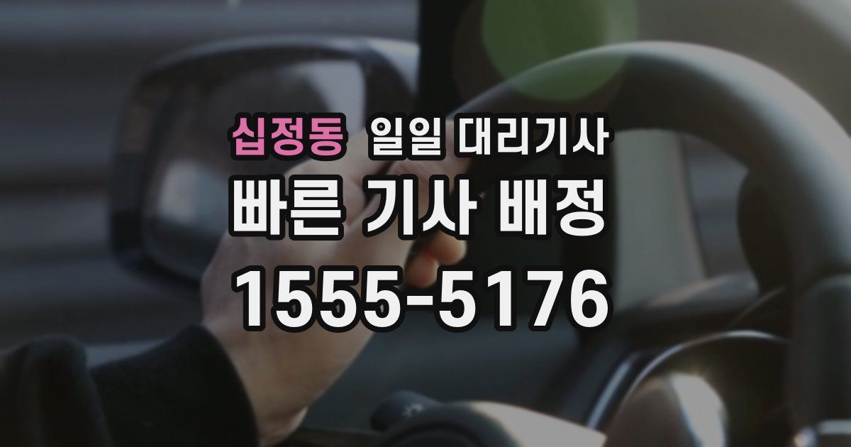 십정동 일일 대리기사