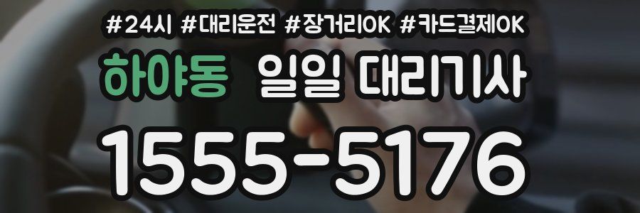 하야동 일일 대리기사