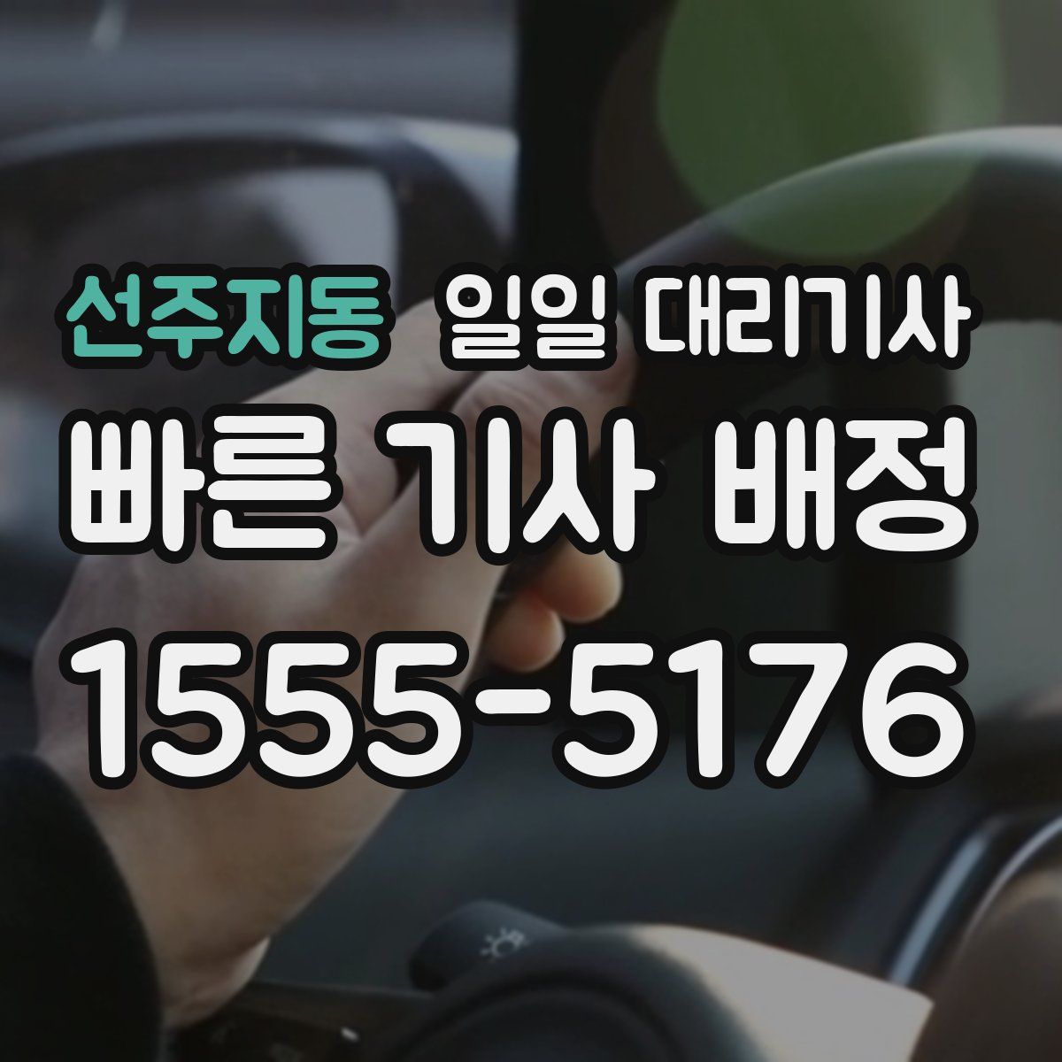 선주지동 일일 대리기사