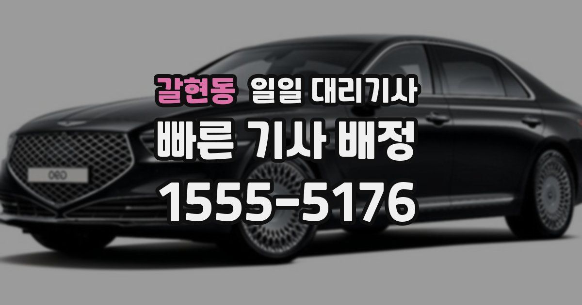 갈현동 일일 대리기사