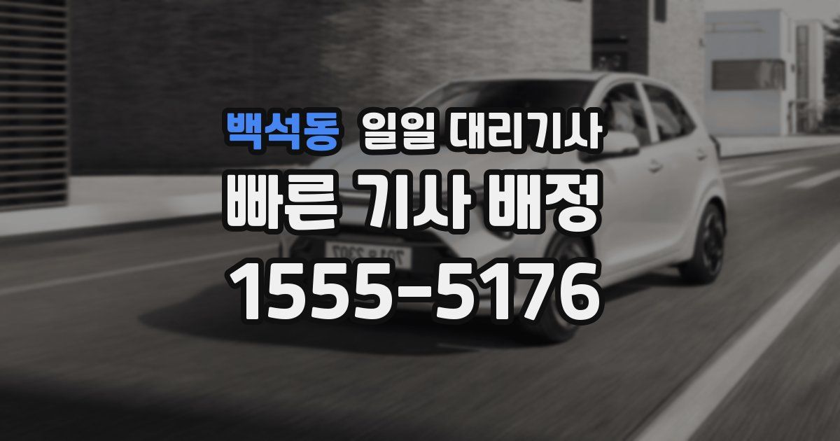 백석동 일일 대리기사