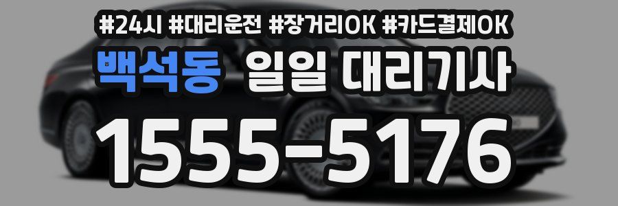백석동 일일 대리기사